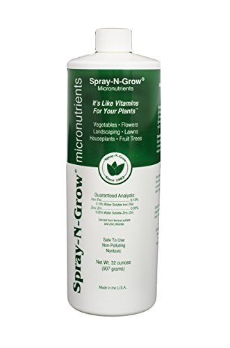 Spray-N-Grow CSNGQ Micronutrients, 1-Quart
