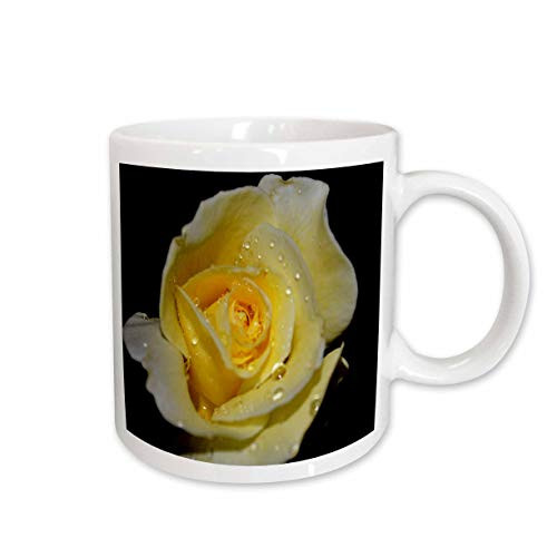 3dRose Macros Yellow Rose Yellow Rose with Rain Drops Ceramic Mug, 11-Ounce
