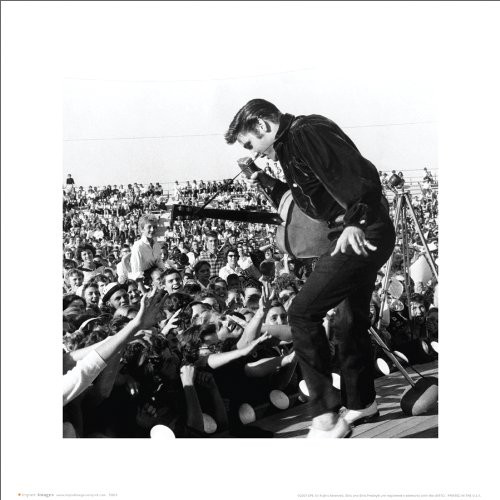 Beyond The Wall Elvis Presley Classic Hollywood Music Celebrity Black and White Poster Print (16x16 UNFRAMED Poster)