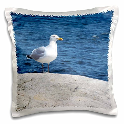 3dRose pc_185429_1 Seagull Ocean Scene Pillow Case, 16 x 16