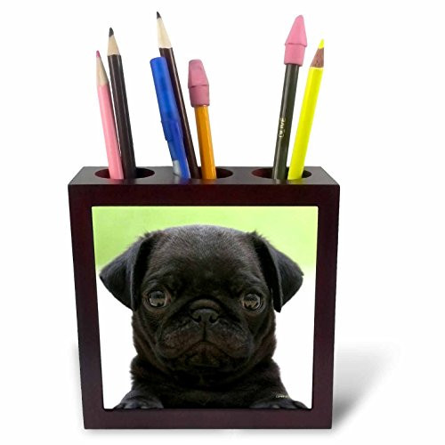3dRose Pug Puppy Tile Pen Holder, 5" (ph_21198_1), 5"