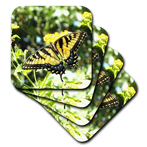 3dRose Awesome Yellow Swallowtail Butterfly Photography - Soft Coasters, set of 4 (cst_200105_1)
