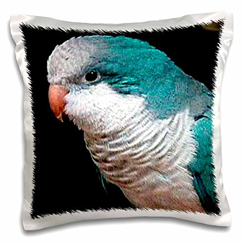 3dRose pc_607_1, "Blue Quaker" Printed, Satin, Envelope closure type, Square pillow case, 16 x 16 inches, White