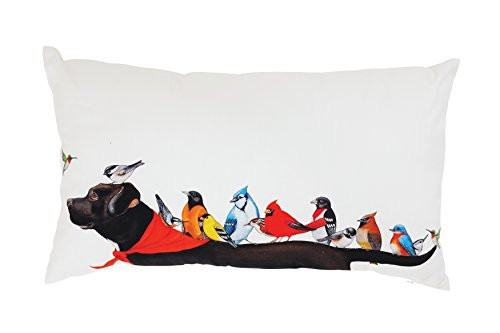 Creative Co-Op Multicolor Cotton Birds on a Black Dog Pillow, Cream