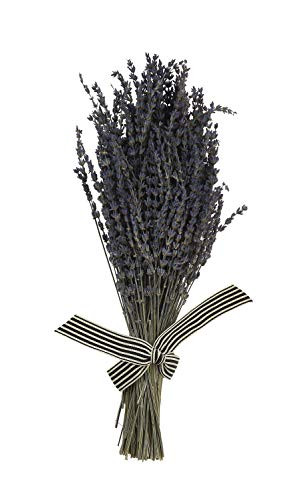 Creative Co-op Ribbon Lavender Bouquet, Purple