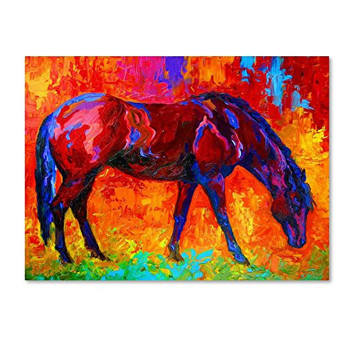 Bay Mare II by Marion Rose, 18x24-Inch Canvas Wall Art