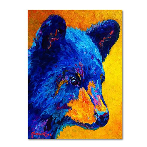 Black Bear Cub 2 by Marion Rose, 18x24-Inch Canvas Wall Art