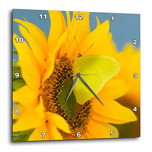 3D Rose Yellow Sulfur Butterfly on Sunflower Wall Clock 13" x 13"