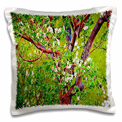 3D Rose Close up of What Looks Like Popcorn Popping on Apricot Tree with Hue Vibrant Green-Red & Yellow Design Pillowcase, 16" x 16"
