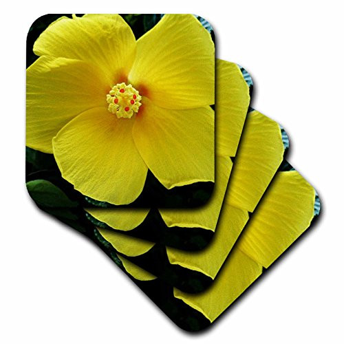 3dRose CST_20039_1 Sunny Hibiscus Yellow Soft Coasters, Set of 4