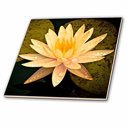 3dRose LLC ct_13905_1 Yellow Lotus Flower Ceramic Tile, 4-Inch