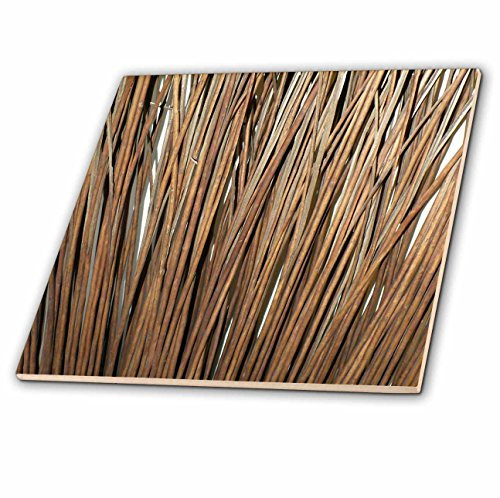 3dRose LLC ct_16460_1 Twigs Ceramic Tile, 4-Inch