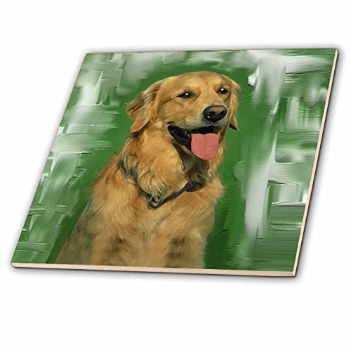 3dRose LLC Golden Retriever 6-Inch Ceramic Tile