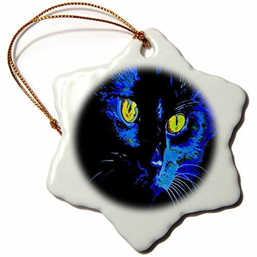 3dRose orn_19310_1 Black Cat Porcelain Snowflake Ornament, 3-Inch