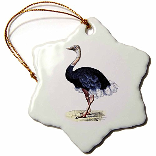 3dRose orn_41561_1 Vintage Ostrich Image Snowflake Ornament, Porcelain, 3-Inch