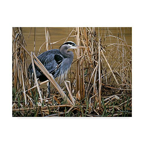 Early Spring Great Blue Heron by Ron Parker, 14x19-Inch