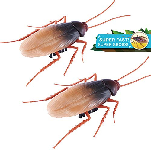 Robo Alive Scuttling Lifelike Cockroach 2 Pack by ZURU