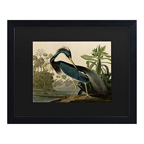 Trademark Fine Art Louisiana Heron by John James Audubon, Matte, Black Frame 11x14, Black, Black