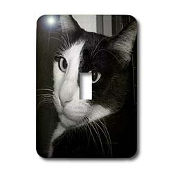 3dRose lsp_19161_1 Black and white cat Single Toggle Switch