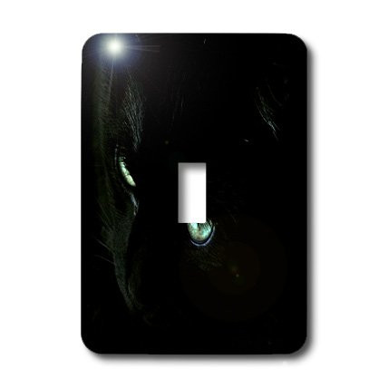 3dRose lsp_27310_1 Close Up Of Black Cat Toggle Switch Multicolor