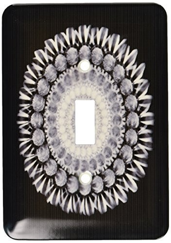 3dRose lsp_31679_1 Silver and gray floral mandala on black background Toggle Switch