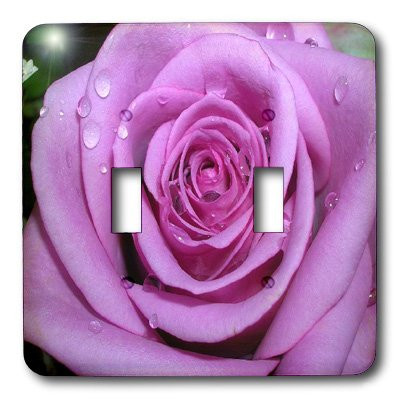 3dRose lsp_1264_2 Purple Rose Double Toggle Switch