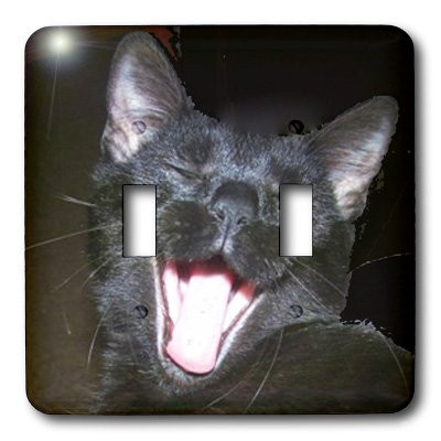 3dRose lsp_6026_2 Black Cat Yawning Double Toggle Switch Multicolor