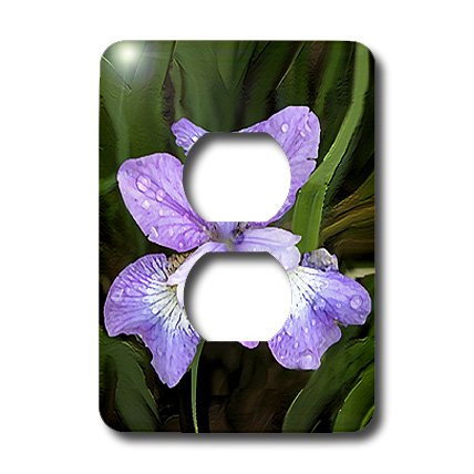 3dRose lsp_4123_6 Purple Iris 2 Plug Outlet Cover