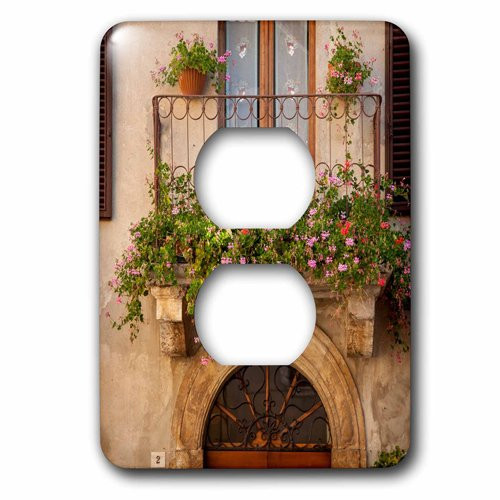 3dRose (lsp_208758_6) Flowers on Home In Piezna, Tuscany, Italy 2 Plug Outlet Cover