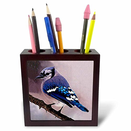 3dRose LLC Blue Jay 5-Inch Tile Pen Holder