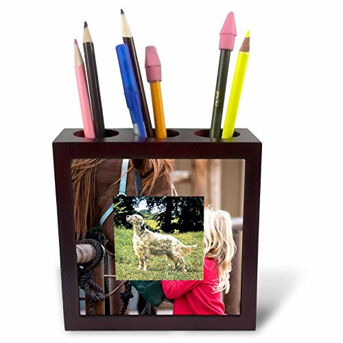 3dRose ph_3181_1 English Setter Tile Pen Holder, 5-Inch