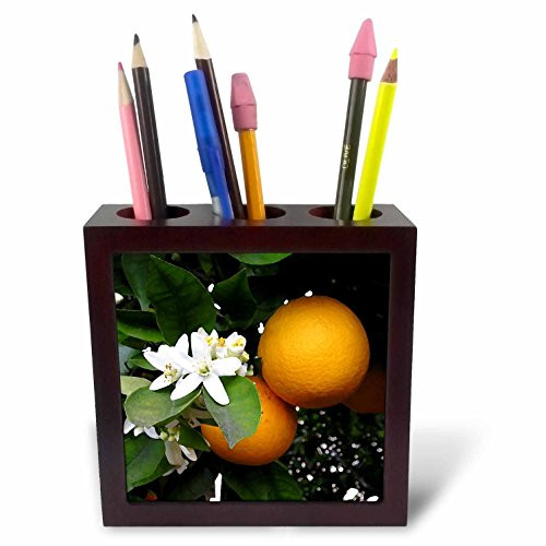 3dRose ph_4221_1 Orange Tile Pen Holder, 5-Inch