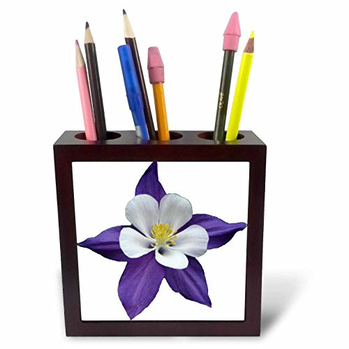 3dRose ph_6263_1 Columbine Flower Tile Pen Holder, 5-Inch