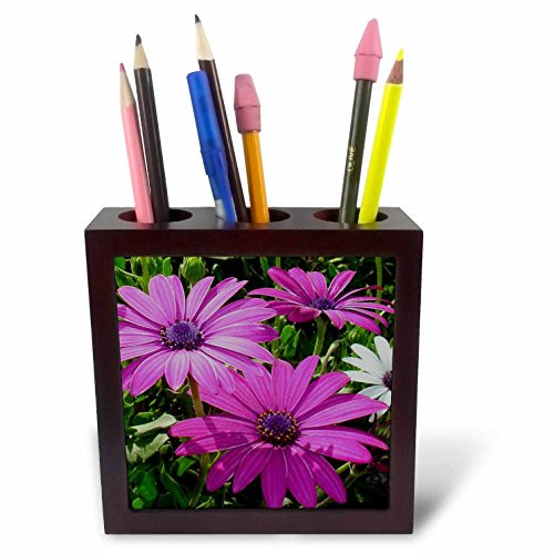 3dRose ph_17666_1 Flowers African Daisy-Tile Pen Holder, 5-Inch