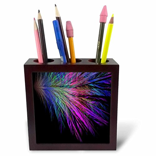 3dRose LLC Multi Colored Feathers on Black 5-Inch Tile Pen Holder