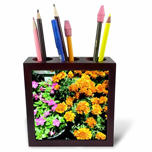 3dRose ph_22162_1 Flower Pot Pretty Tile Pen Holder, 5-Inch