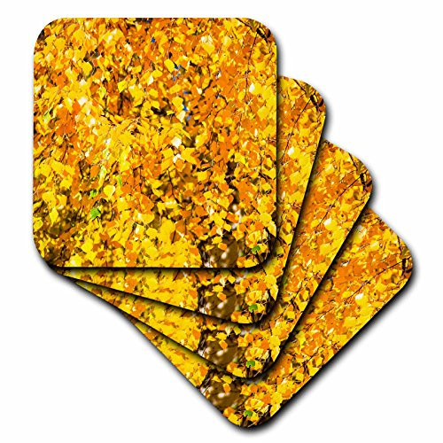 3dRose Alexis Photography - Seasons Autumn - Vibrant yellow foliage of a birch tree in autumn - set of 4 Coasters - Soft (cst_267332_1)