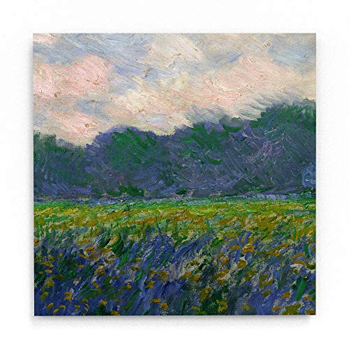 Trademark Fine Art Field of Yellow Irises by Claude Monet, White Metal Art 16x16, Multi-Color
