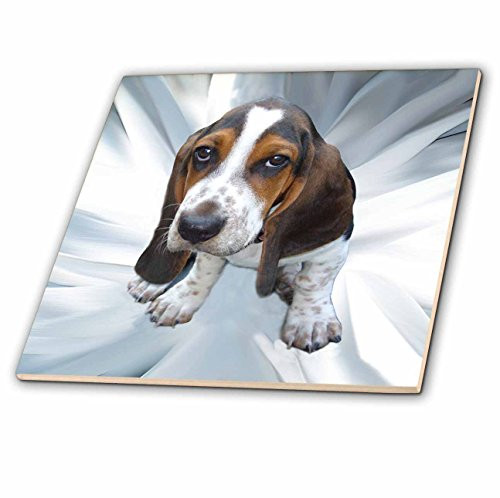 3dRose ct_4267_1 Basset Hound Ceramic Tile, 4-Inch