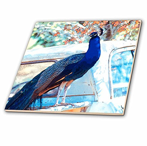 3dRose ct_11976_6 The Peacock and The Pickup Glass Tile, 6-Inch
