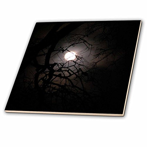 3dRose ct_13036_1 Moon Through The Tree Ceramic Tile, 4-Inch