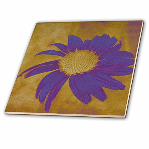 3dRose ct_42737_1 Purple Echinacea Flower-Floral Art-Ceramic Tile, 4-Inch