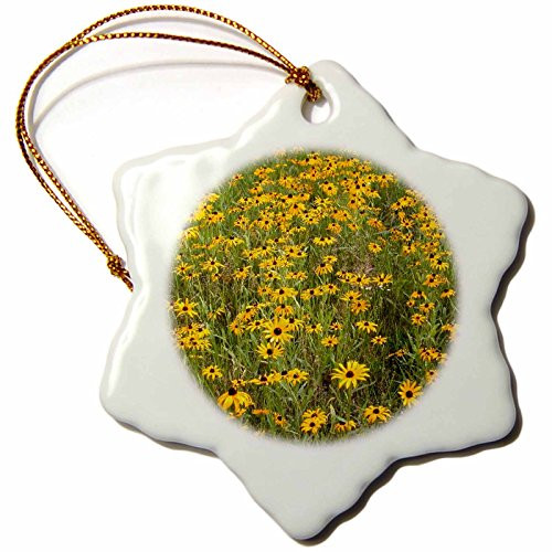 3dRose Black Eyed Susan Snowflake Porcelain Ornament, 3-Inch
