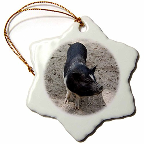 3dRose LLC Black and White Pig 3-Inch Snowflake Porcelain Ornament 3dRose LLC Black and White Pig 3-Inch Snowflake Porcelain Ornament