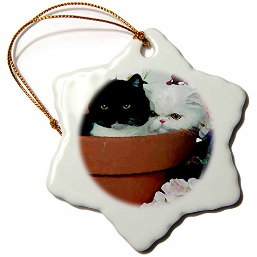 3dRose orn_4414_1 Black and White Cats Porcelain Snowflake Ornament, 3-Inch