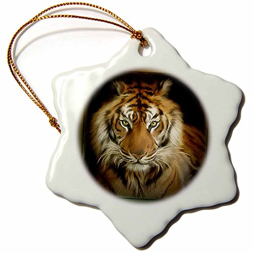 3dRose orn_41377_1 Portrait of a Tiger Snowflake Porcelain Ornament, 3-Inch