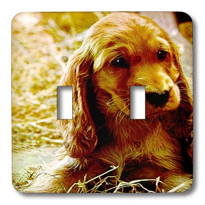 3dRose lsp_486_2 Irish Setter Puppy Double Toggle Switch