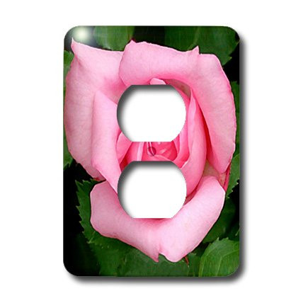 3dRose lsp_3650_6 Pink Rose 2 Plug Outlet Cover