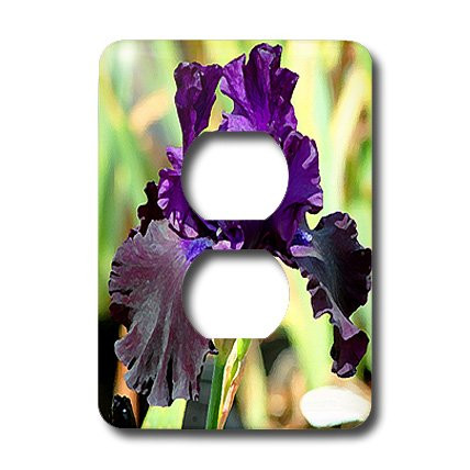 3dRose lsp_4124_6 Purple Iris 2 Plug Outlet Cover