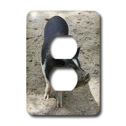 3dRose lsp_4327_6 Black and White Pig 2 Plug Outlet Cover